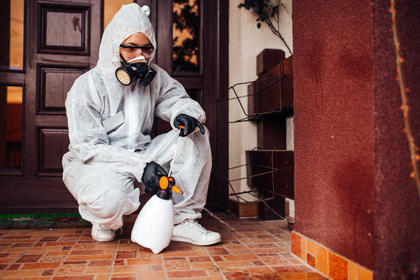 Reliable Ant Control contractor in Oxford, NC by Show Me Pest Control